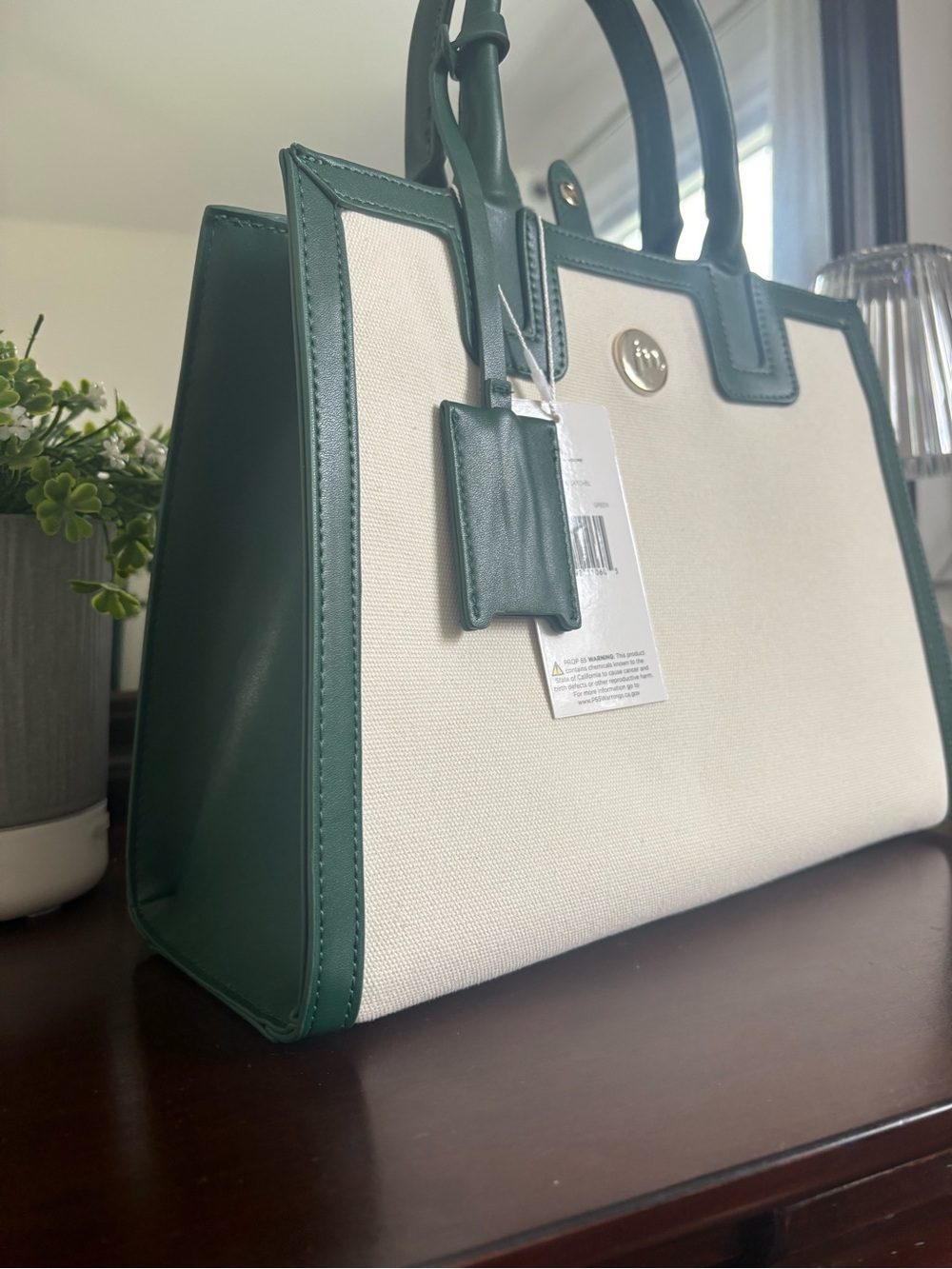 Canvas & Green Trim Satchel Tote - Picture 2 of 5